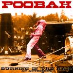 Poobah - Burning in the Rain: An Anthology