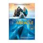 Big Miracle - Big Miracle [US-Version, Regio 1]