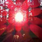 Russian Circles - EMPROS (Repress 2024)