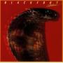 Blackfoot - Strikes