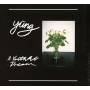 Yung - A Youthful Dream