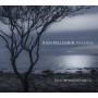 Rich Pellegrin - Passage: Solo Improvisations II