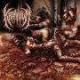 Kraanium - Chronicles Of Perversion