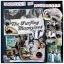 The Surfing Magazines - Badgers Of Wymesword