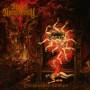 Ritual Necromancy - Disinterred Horror