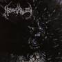 Abnormality - Mechanisms Of Omniscience