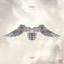 Zayn - Icarus Falls