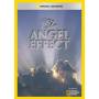 Angel Effect / (mod Ntsc) - Angel Effect [US-Version, Regio 1]