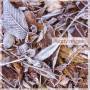 Kirsty McGee - Frost