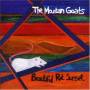 Mountain Goats - Beautiful Rat Sunset