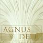 Edward Higginbottom / Choir Of New College Oxford - Agnus Dei 2
