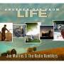 Joe Mullins & Radio Ramblers - Another Day From Life