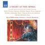 V / A - A Night At The Opera