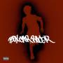 Box Car Racer - Box Car Racer (15th Anniversary Vinyl Ltd.edt.)