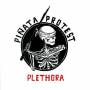 Pinata Protest - Plethora (Reloaded)