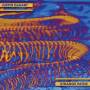Gordon / Dehart - Strange Paths