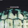 Wackside - Turtle Funk