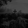 Eye Of Solitude / Faal - Eye Of Solitude/faal