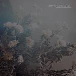 An Autumn For Crippled Children - All Fell Silent,Everything Went Quiet