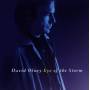 David Olney - Eye Of The Storm