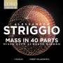 Robert Hollingworth / I Fagiolini - Mass in 40 Parts/Spem in alium