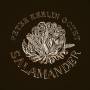 Peter Kerlin - Salamander