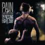 Pain Of Salvation - In The Passing Light Of Day