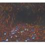 Lisa Germano - Magic Neighbor