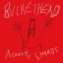 Buckethead - Acoustic Shards
