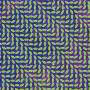 Animal Collective - Merriweather Post Pavilion