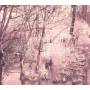 Esben And The Witch - Violet Cries