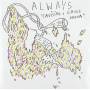 Always - Cruising/gross Odour