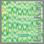 Eyvind Kang - Grass