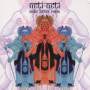 Audio Letter - Neti Neti Remix Cd