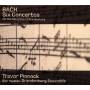 Trevor Pinnock / European Brandenburg Ensemble - Brandenburg Concertos