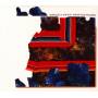 Grizzly Bear - Painted Ruins