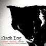 Robert Spring - Black Dog