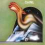 Camel - Camel