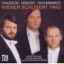 Wiener Schubert Trio - Klaviertrios