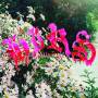 The Hirs Collective - Friends.Lovers.Favorites.