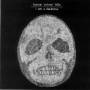 Bonnie Prince Billy - I See A Darkness