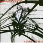 Skymning - Machina Genova