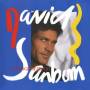 david Sanborn - Change Of Heart