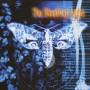 Bleeding Light - THE BLEEDING LIGHT