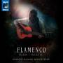 Ignacio Lusardi Monteverde - Flamenco-Pasado y Presente