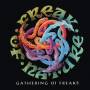 Freak Of Nature (re-issue) - Gathering Of Freaks
