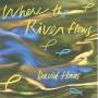 David Haas - Where The River Flows