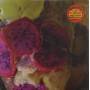 Animal Collective - Applesauce