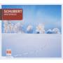 Siegfried Vogel / Rudolf Dunckel - Winterreise D 911 op.89