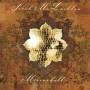 Sarah Mclachlan - Mirrorball (Live)